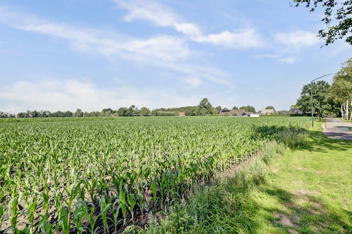 Photo 56 of Jan de Vriesstraat 8