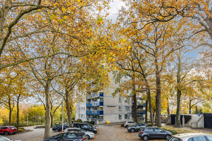 Foto 8 van Benedenbaantje 82