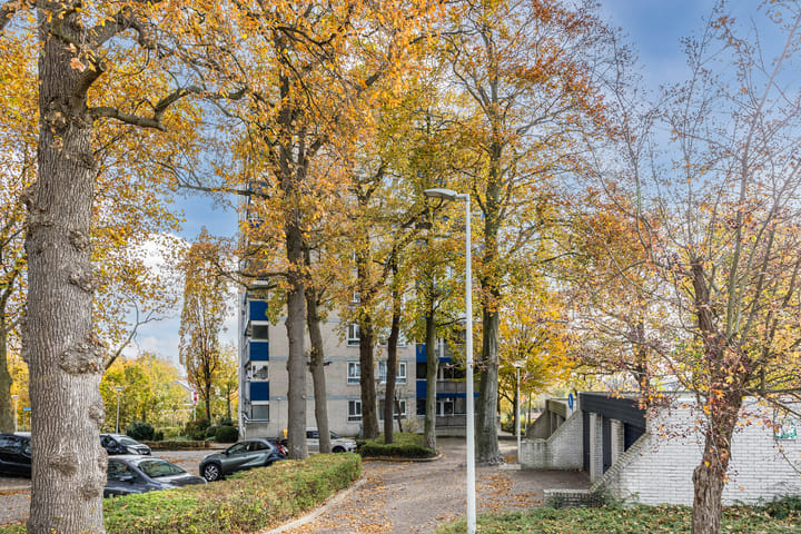 Foto 9 van Benedenbaantje 82