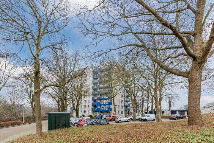 Foto 46 van Benedenbaantje 82