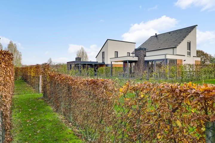 Foto 35 van Buitenhof de Leistert 245