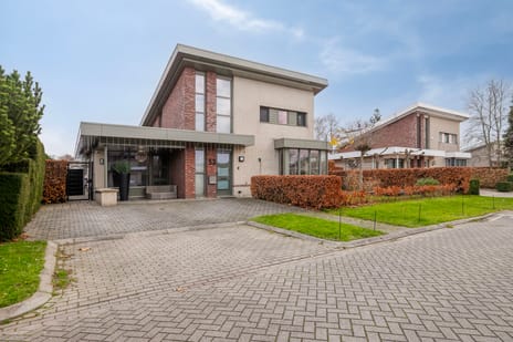 Birdielaan thumbnail