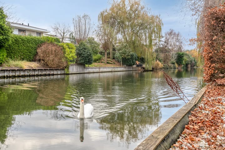 Foto 52 van Birdielaan 53