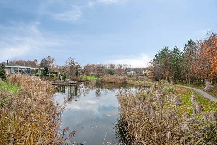 Foto 56 van Birdielaan 53