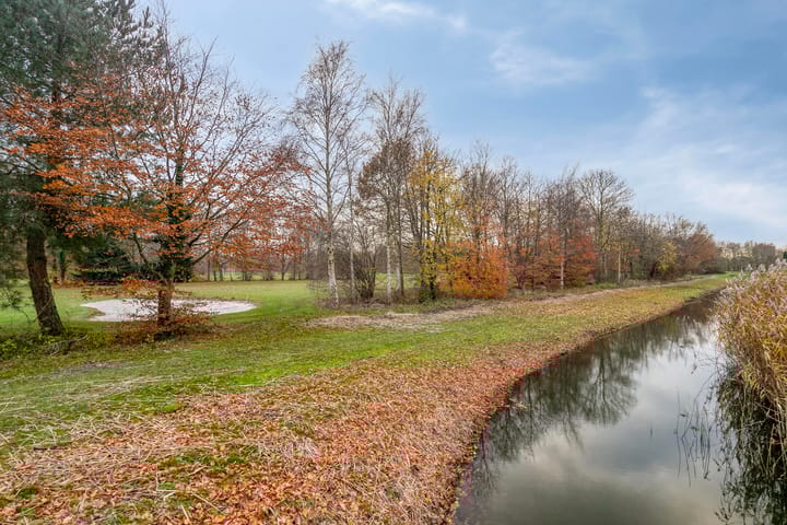 Foto 57 van Birdielaan 53