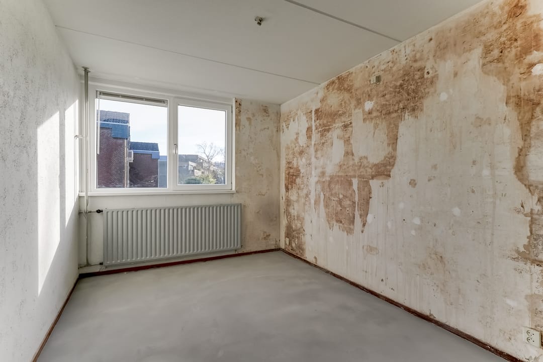 Foto 23 van Bolksbeek 23