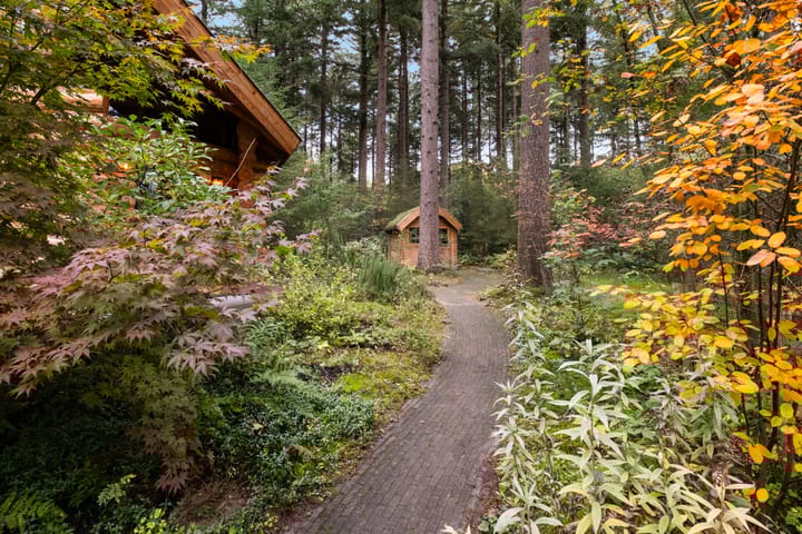 Foto 26 van Soesterbergsestraat 133-B05