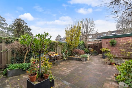 Weegbree 85 tertiary image