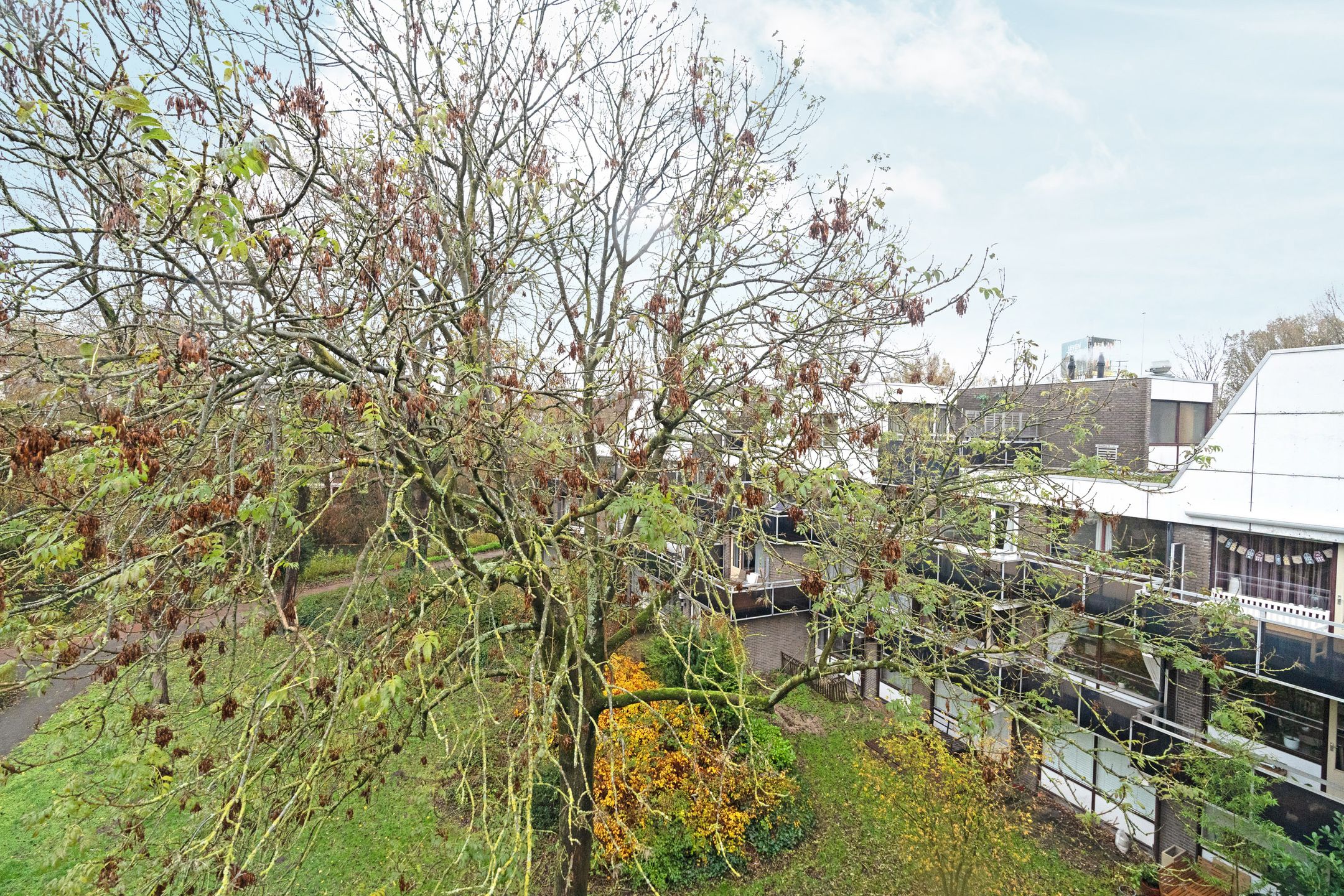 Foto 21 van Michaëlplein 70