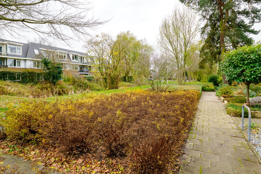 Foto 38 van De Koolmees 37