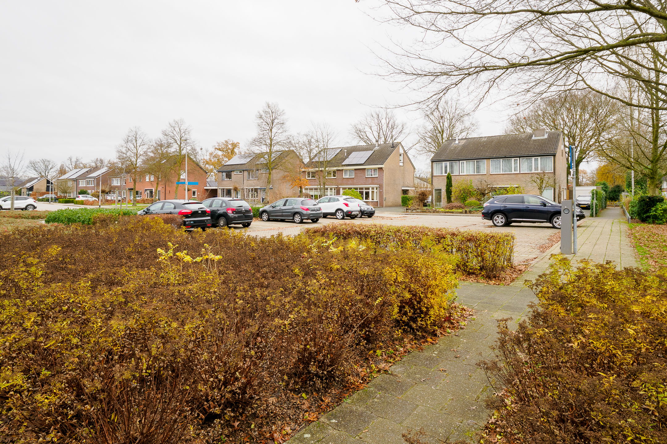 Foto 39 van De Koolmees 37