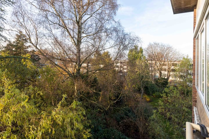 Foto 18 van Europalaan 204