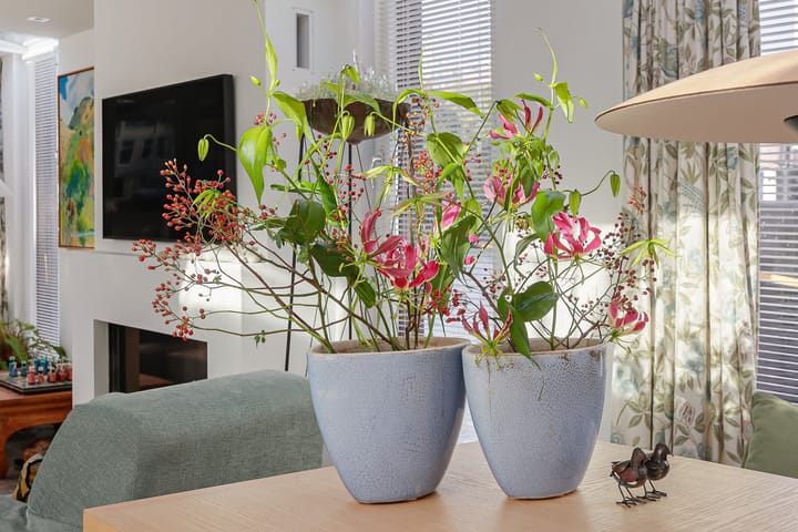 Foto 24 van Westerdok 21