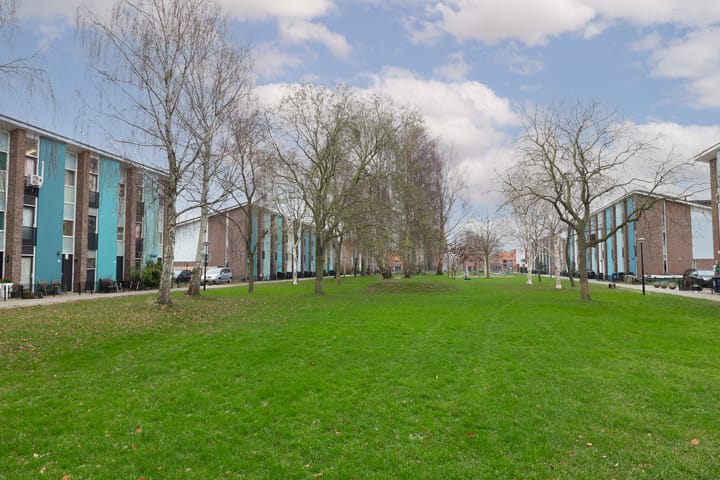 Foto 2 van Mintplantsoen 7