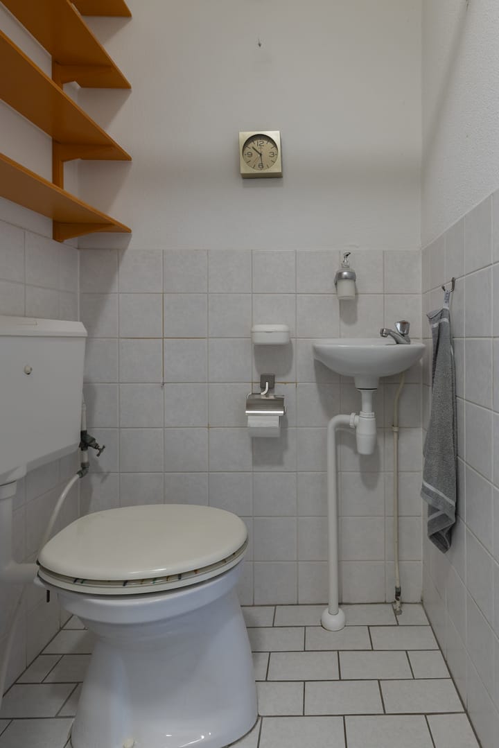 Foto 7 van Mintplantsoen 7