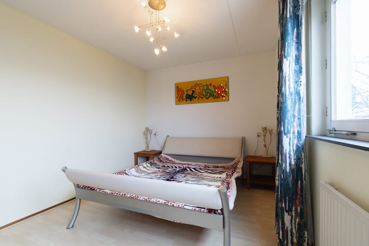 Foto 18 van Mintplantsoen 7