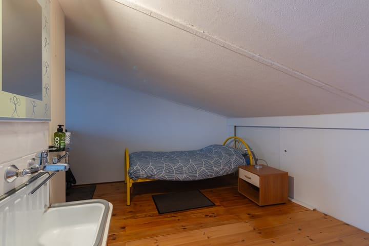 Foto 25 van Mintplantsoen 7