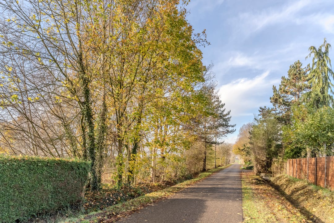 Foto 71 van Willeke Joostenstraat 45