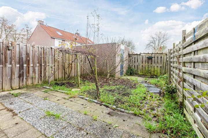 Foto 3 van Grutto 39