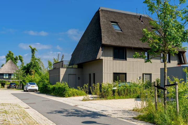 Photo 42 of Grote Lijster 1