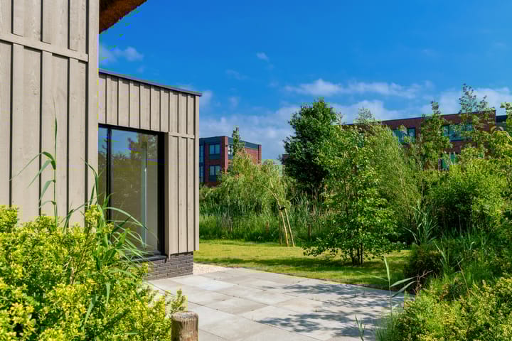 Photo 48 of Grote Lijster 1