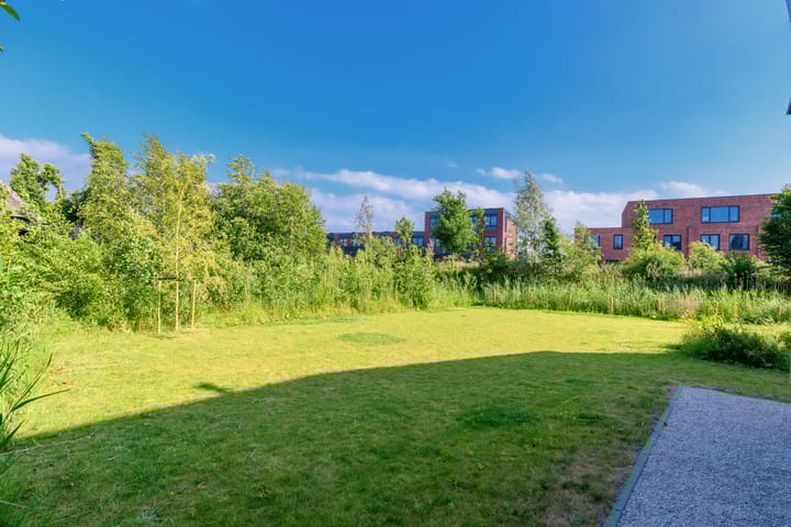 Photo 49 of Grote Lijster 1