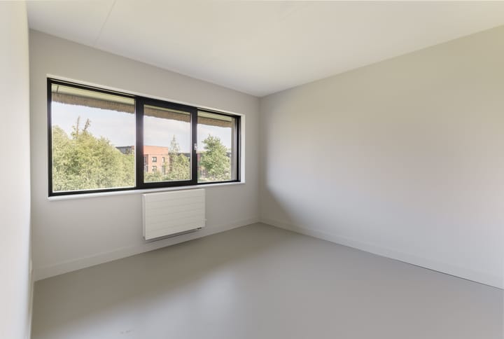 Photo 30 of Grote Lijster 1