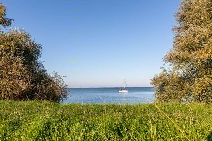 Photo 61 of Grote Lijster 1