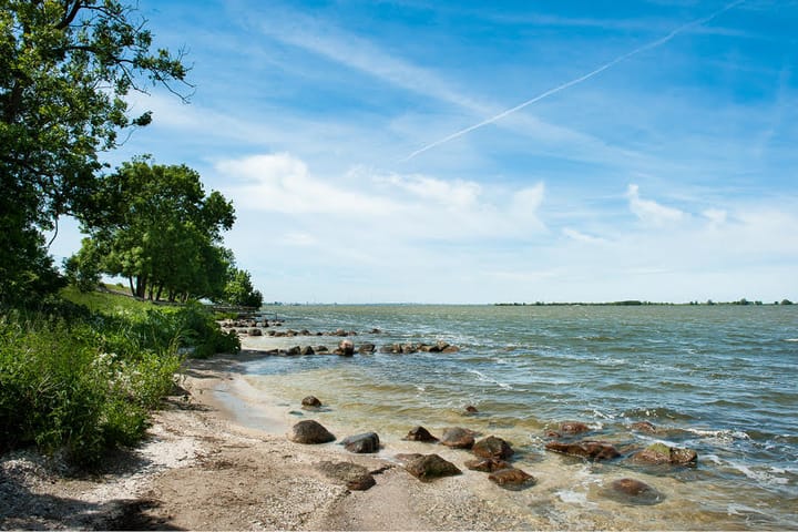 Photo 62 of Grote Lijster 1