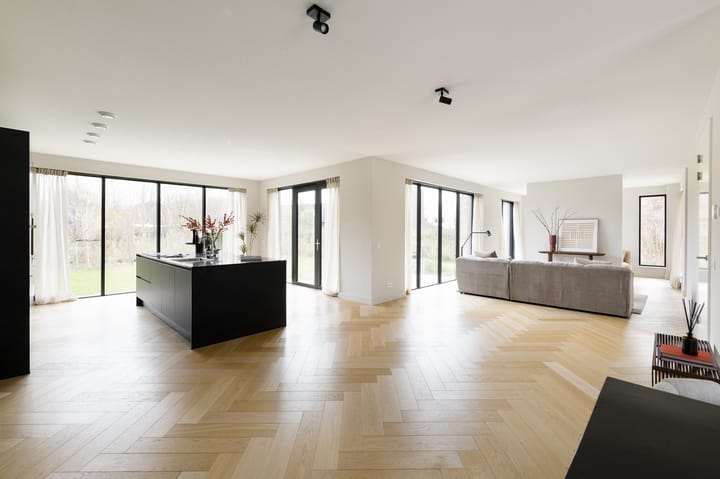 Photo 3 of Grote Lijster 1