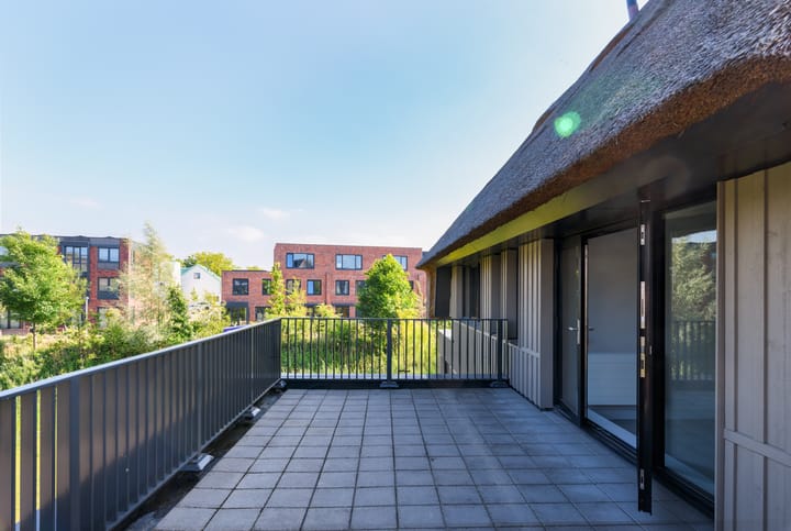 Photo 28 of Grote Lijster 1