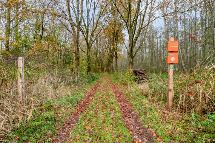 Photo 37 of Jarenweg 3