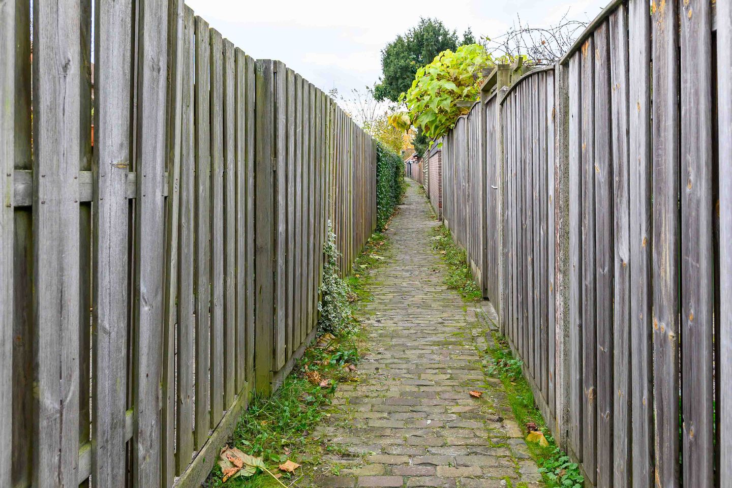 Foto 20 van Plevierenstraat 59