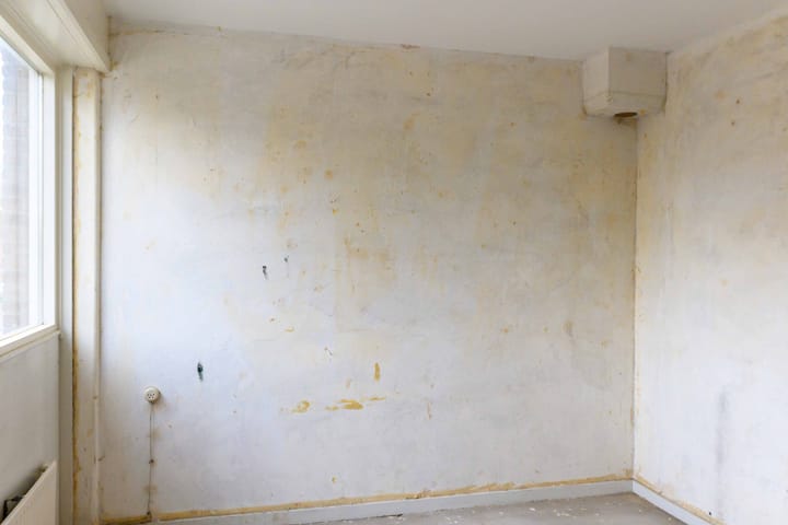 Photo 35 of Plevierenstraat 59