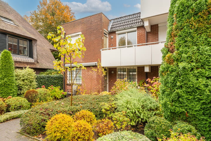 Vreedenburgh 12 main image