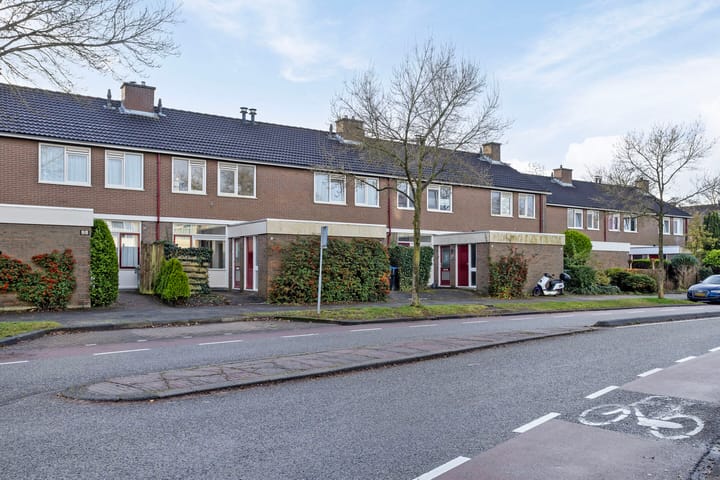 Foto 1 van Stinzenflora 96