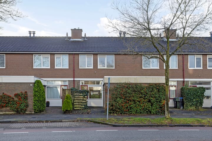 Foto 3 van Stinzenflora 96