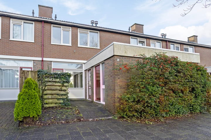 Foto 4 van Stinzenflora 96