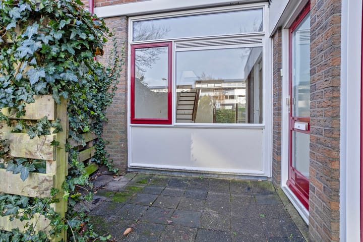 Foto 5 van Stinzenflora 96