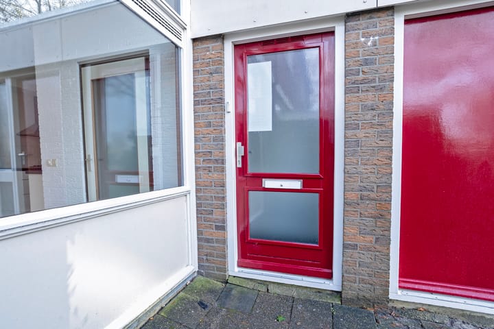 Foto 6 van Stinzenflora 96