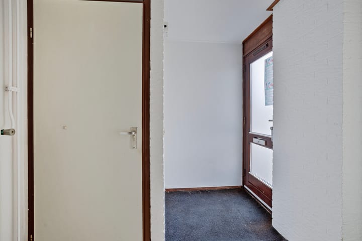 Foto 8 van Stinzenflora 96