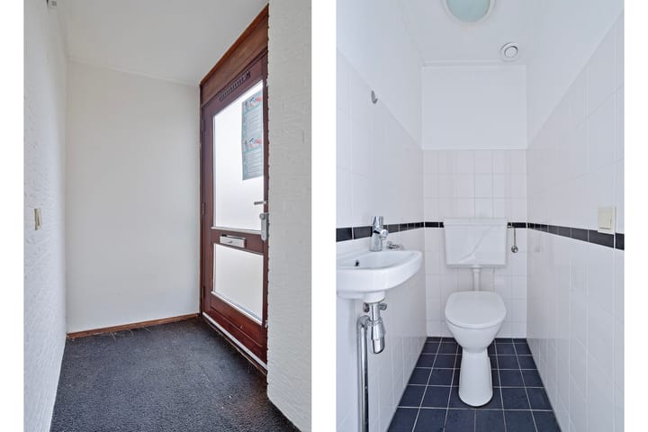 Foto 9 van Stinzenflora 96