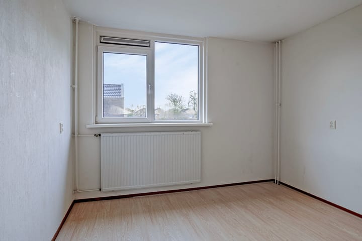 Foto 24 van Stinzenflora 96