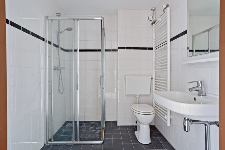 Foto 26 van Stinzenflora 96