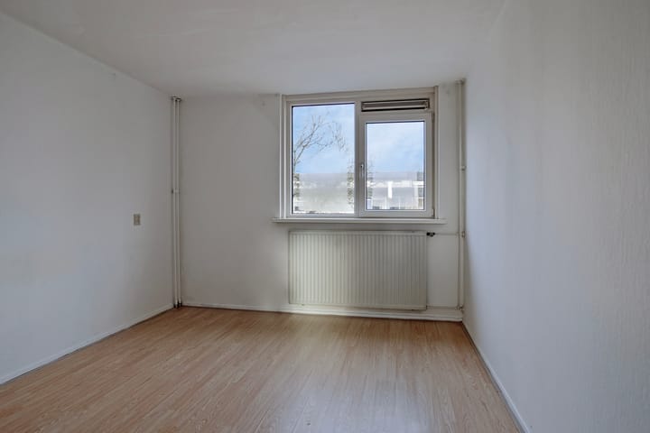 Foto 28 van Stinzenflora 96