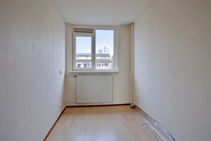 Foto 30 van Stinzenflora 96