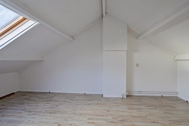 Foto 34 van Stinzenflora 96