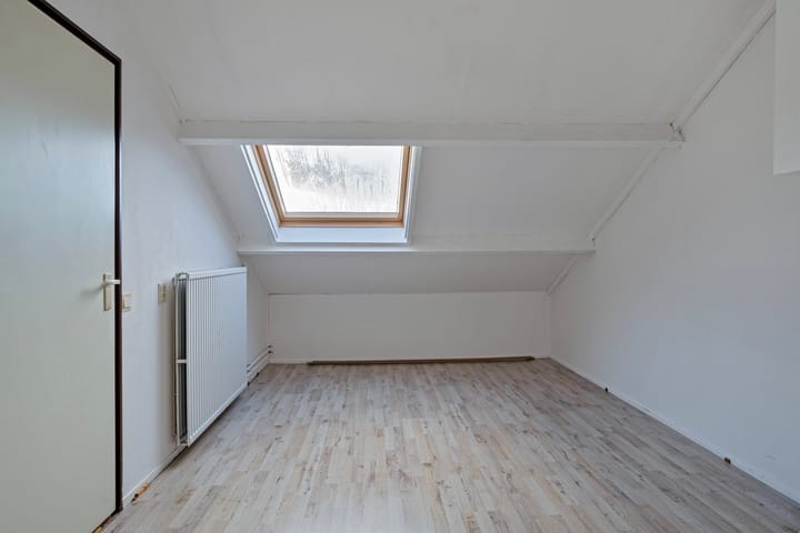 Foto 35 van Stinzenflora 96