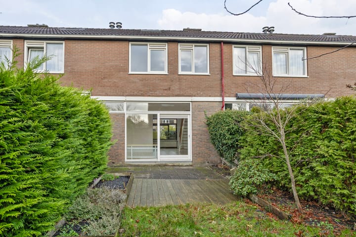 Foto 37 van Stinzenflora 96