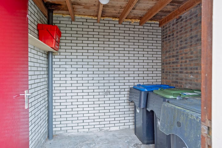 Foto 38 van Stinzenflora 96